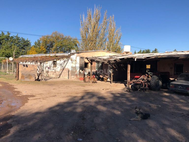 Finca en Venta en Lujan de Cuyo, Mendoza