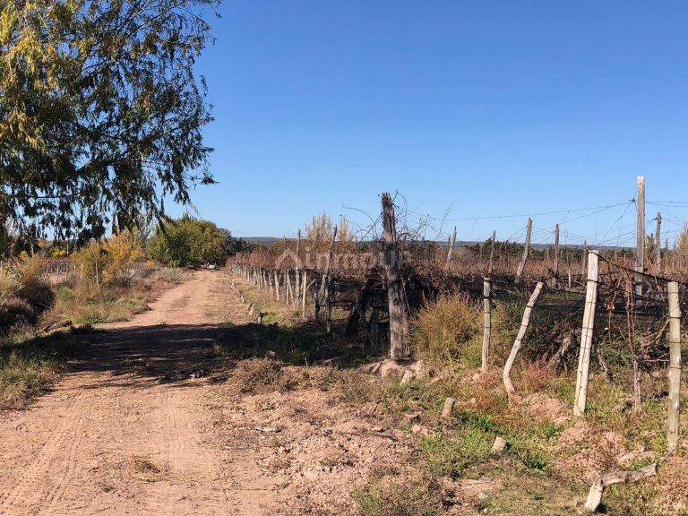 Finca en Venta en Lujan de Cuyo, Mendoza