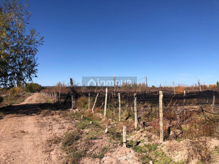 Finca en Venta en Lujan de Cuyo, Mendoza
