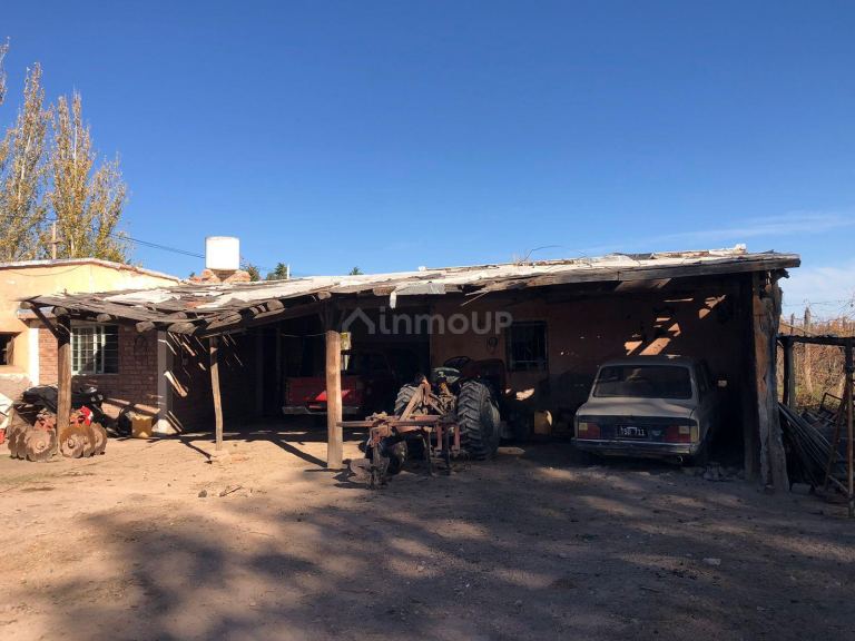 Finca en Venta en Lujan de Cuyo, Mendoza