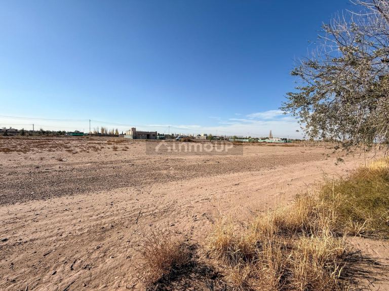 Terreno en Venta en Maipu, Mendoza