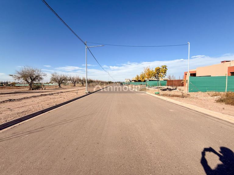 Terreno en Venta en Maipu, Mendoza