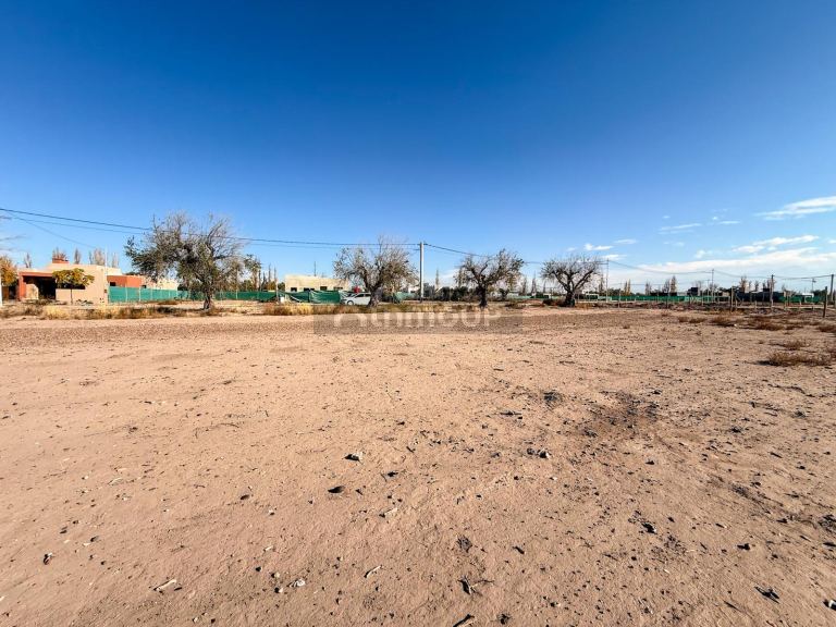 Terreno en Venta en Maipu, Mendoza