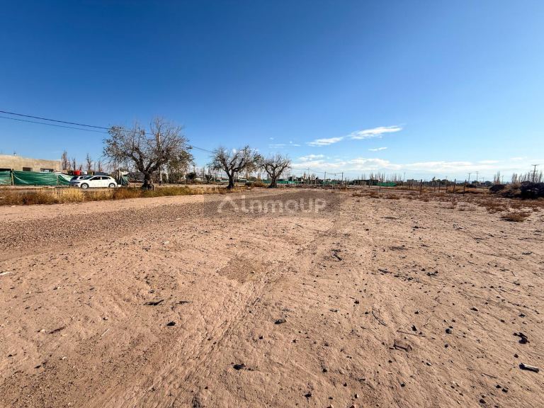 Terreno en Venta en Maipu, Mendoza