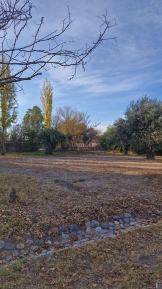 Terreno en Venta en Lujan de Cuyo, Mendoza