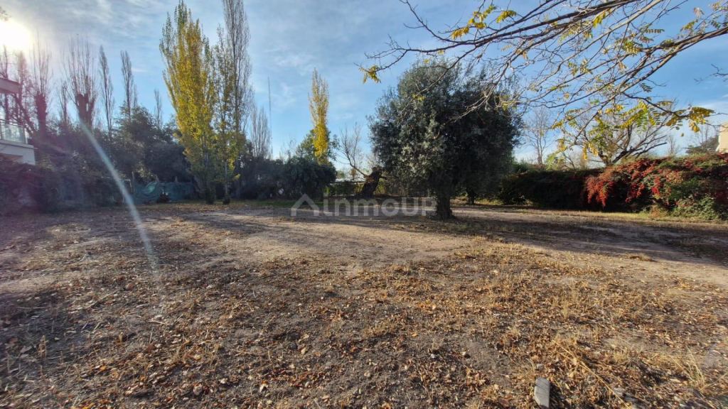 Terreno en Venta en Lujan de Cuyo, Mendoza