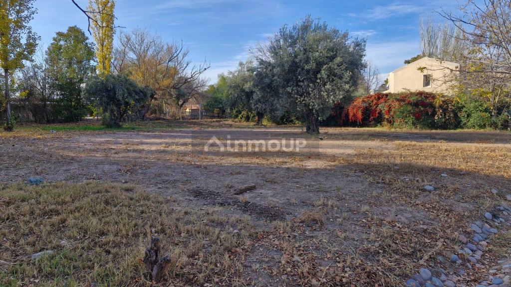 Terreno en Venta en Lujan de Cuyo, Mendoza