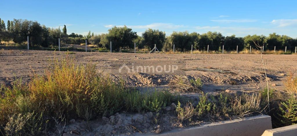 Terreno en Venta en Maipu, Mendoza