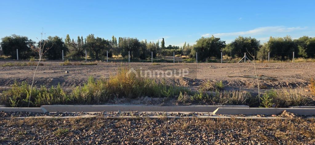 Terreno en Venta en Maipu, Mendoza