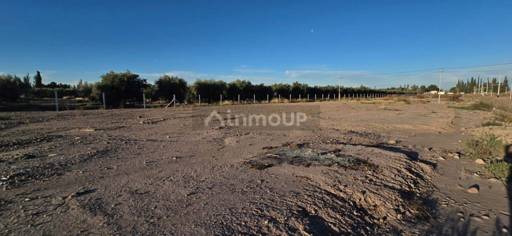 Terreno en Venta en Maipu, Mendoza