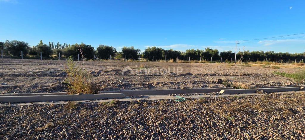 Terreno en Venta en Maipu, Mendoza