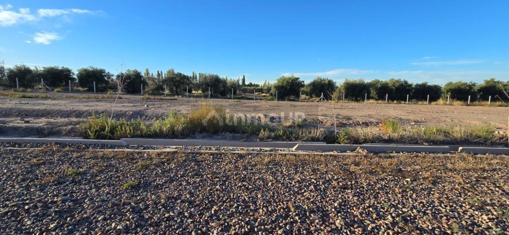 Terreno en Venta en Maipu, Mendoza