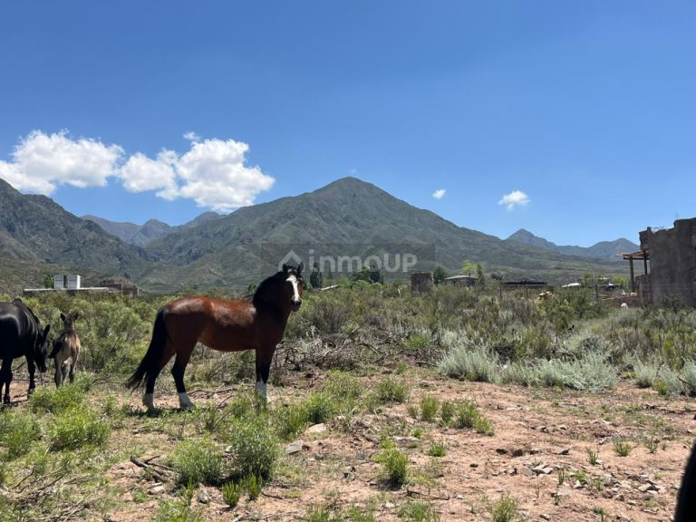 Terreno en Venta en Lujan de Cuyo, Mendoza