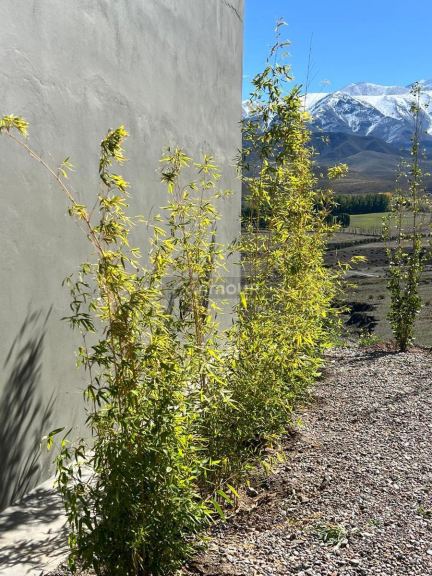 Casa en Venta en Tupungato, Mendoza