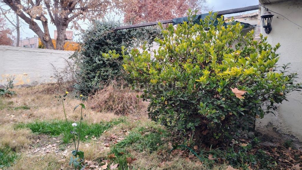 Terreno en Venta en Capital, Mendoza