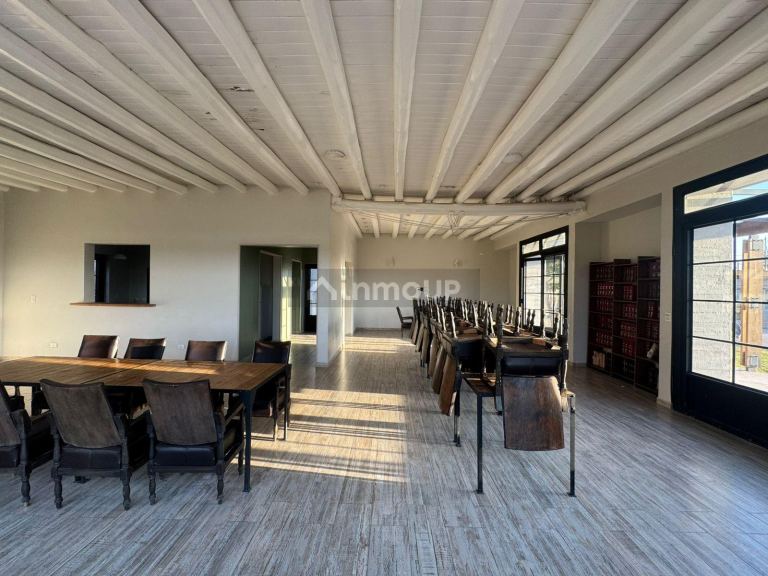 Lote en Venta en Lujan de Cuyo, Mendoza