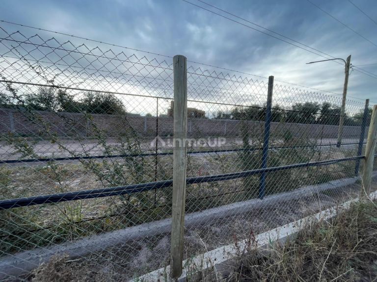 Lote en Venta en Lujan de Cuyo, Mendoza