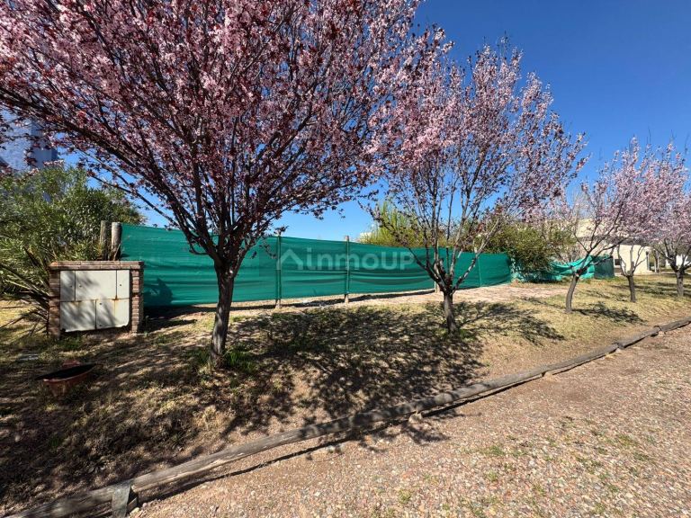 Lote en Venta en Lujan de Cuyo, Mendoza