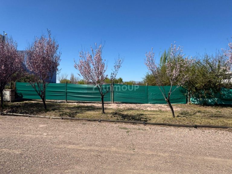Lote en Venta en Lujan de Cuyo, Mendoza
