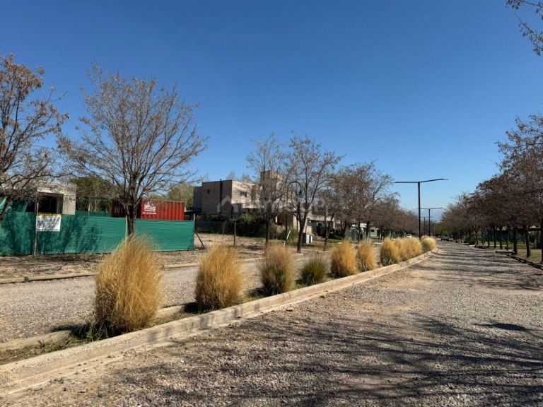 Lote en Venta en Lujan de Cuyo, Mendoza
