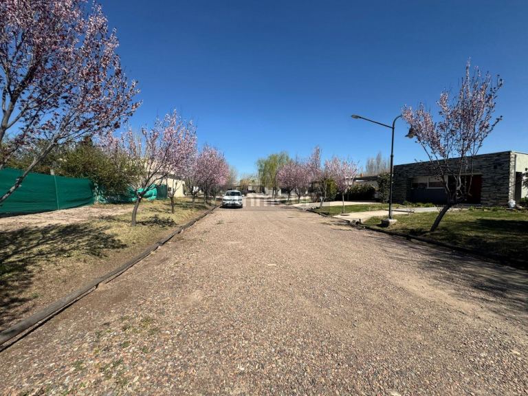 Lote en Venta en Lujan de Cuyo, Mendoza