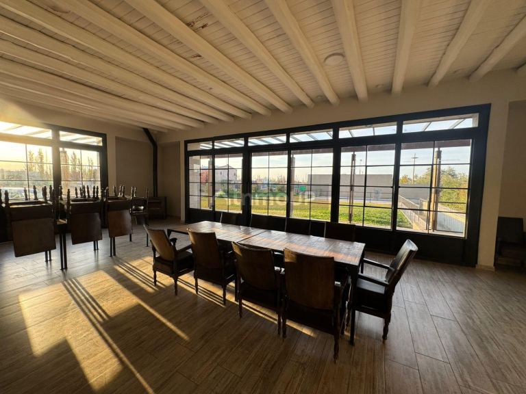 Lote en Venta en Lujan de Cuyo, Mendoza