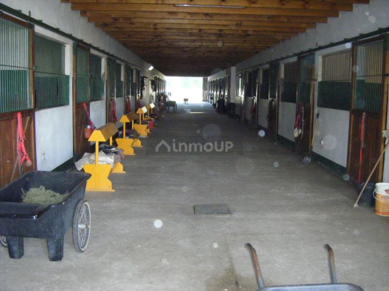 Finca en Alquiler en General Las Heras, Buenos Aires Interior
