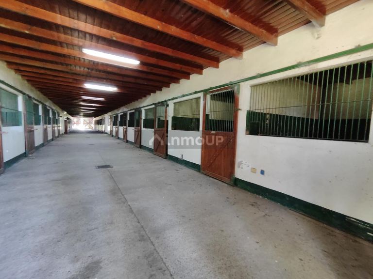 Finca en Alquiler en General Las Heras, Buenos Aires Interior