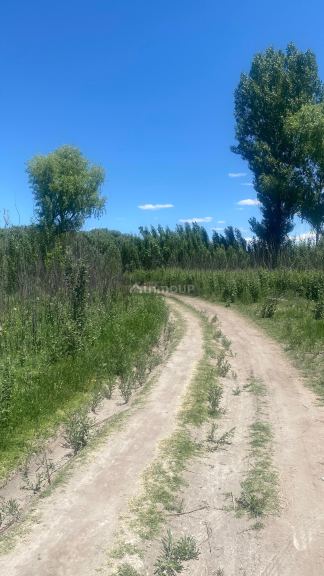 Terreno en Venta en Tunuyan, Mendoza