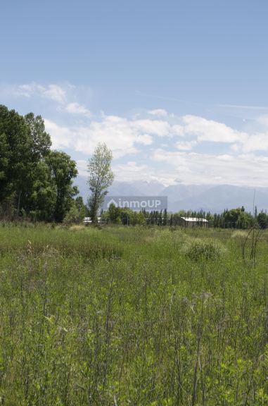 Terreno en Venta en Tunuyan, Mendoza