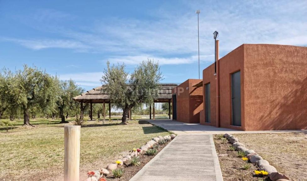 Local Comercial en Alquiler en Maipu, Mendoza