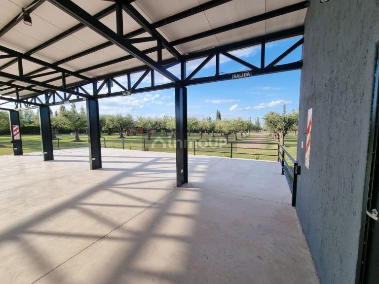 Local Comercial en Alquiler en Maipu, Mendoza