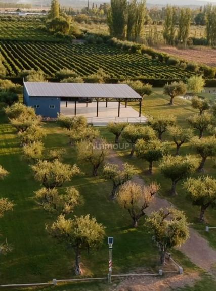 Local Comercial en Alquiler en Maipu, Mendoza