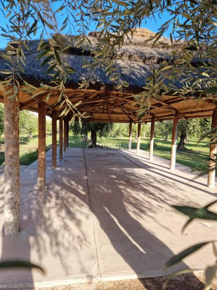 Local Comercial en Alquiler en Maipu, Mendoza