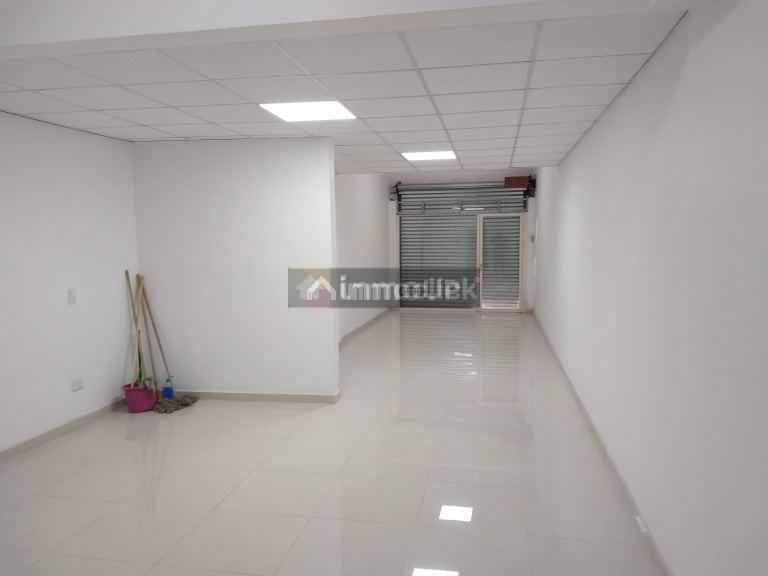 Local Comercial en Alquiler en Capital, Mendoza