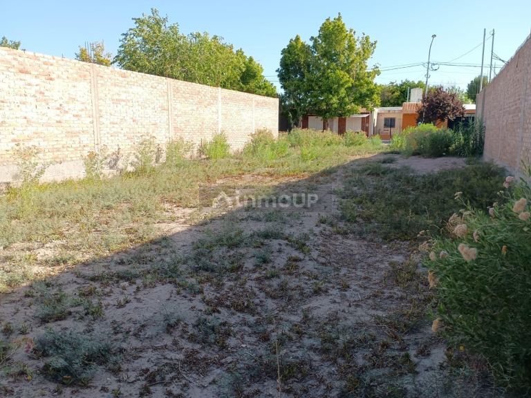 Lote en Venta en San Martin, Mendoza