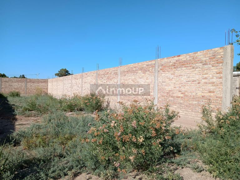Lote en Venta en San Martin, Mendoza