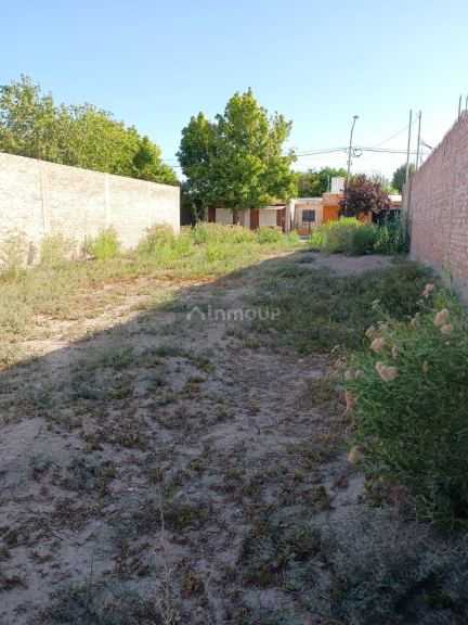 Lote en Venta en San Martin, Mendoza