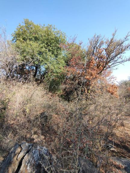 Terreno en Venta en San Javier, Cordoba