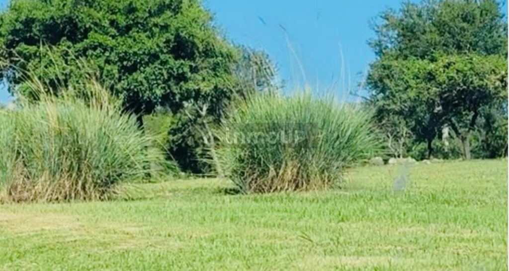 Terreno en Venta en Santa Maria, Cordoba