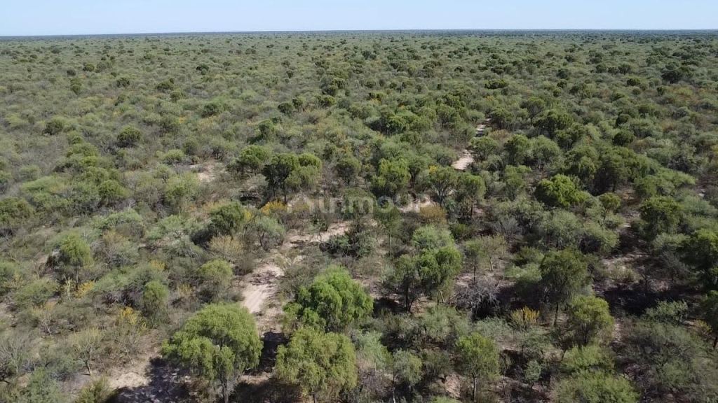 Campo en Venta en San Alberto, Cordoba