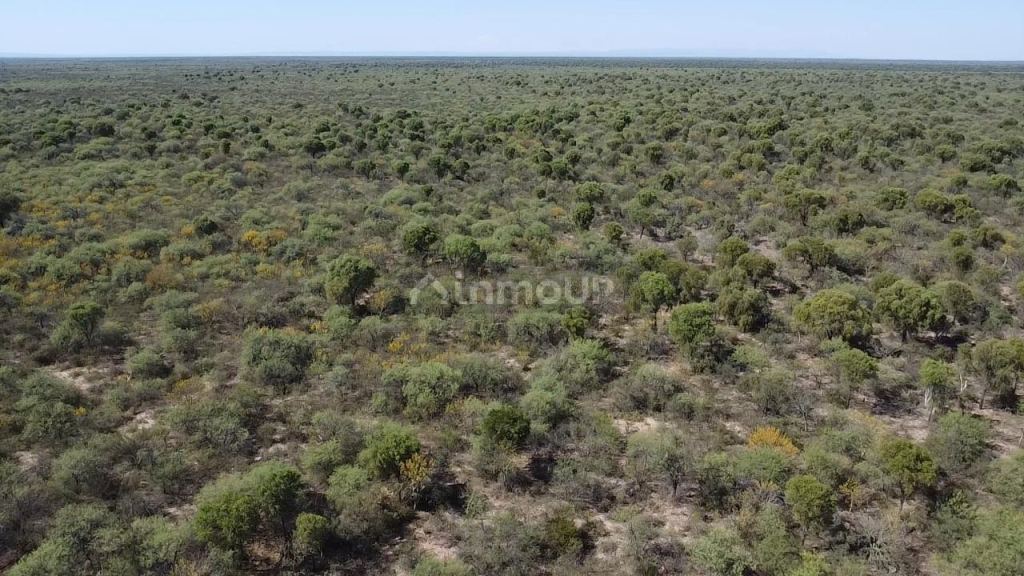 Campo en Venta en San Alberto, Cordoba