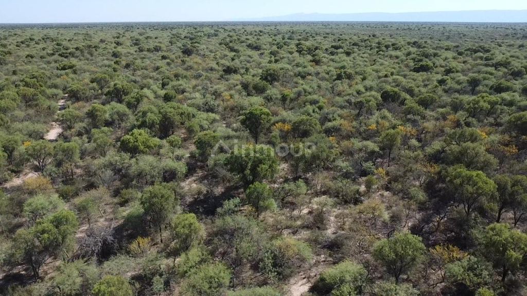 Campo en Venta en San Alberto, Cordoba
