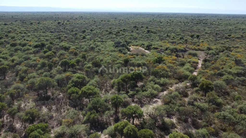 Campo en Venta en San Alberto, Cordoba