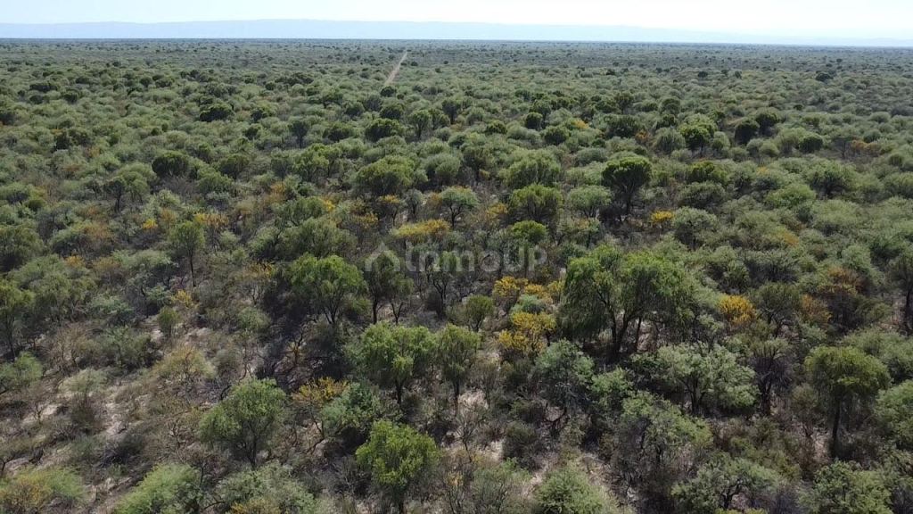 Campo en Venta en San Alberto, Cordoba