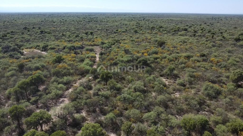 Campo en Venta en San Alberto, Cordoba