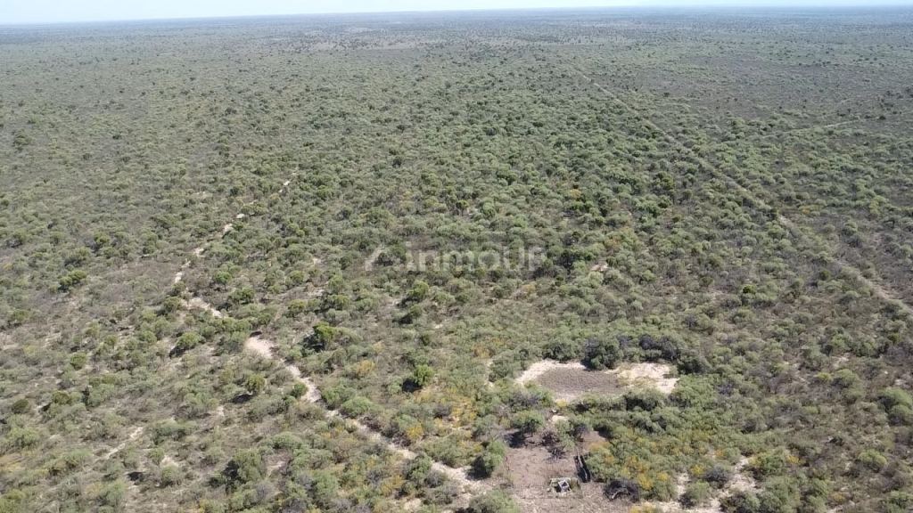 Campo en Venta en San Alberto, Cordoba