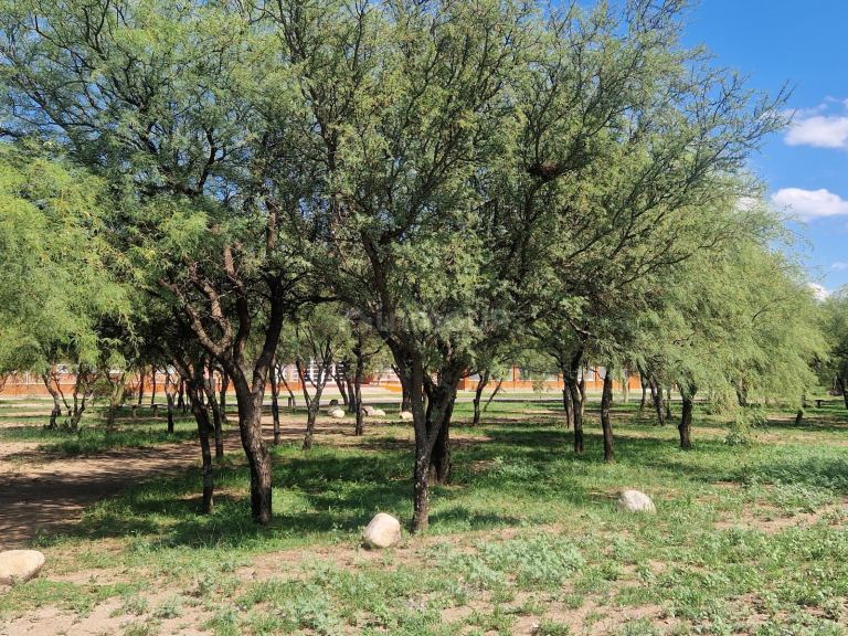 Terreno en Venta en San Javier, Cordoba