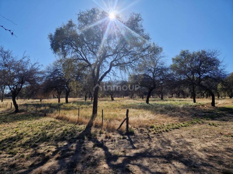 Terreno en Venta en San Javier, Cordoba