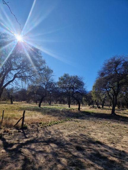 Terreno en Venta en San Javier, Cordoba